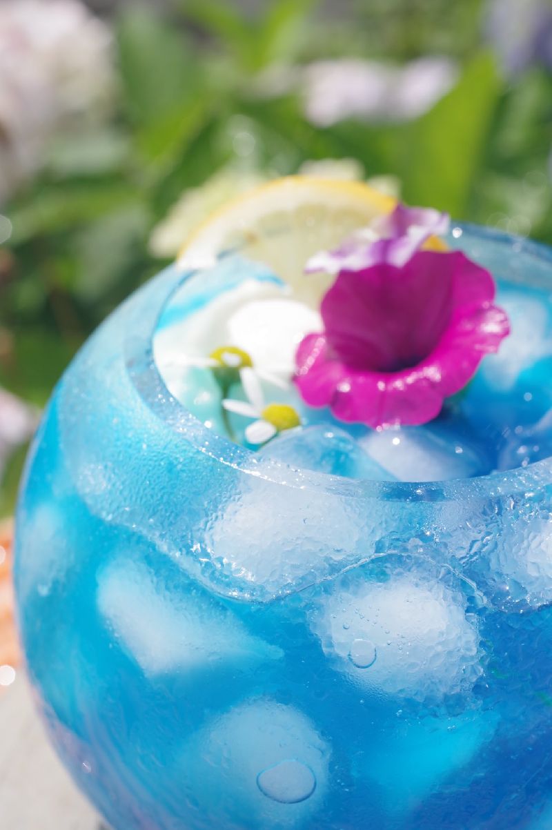 そーだふろーと